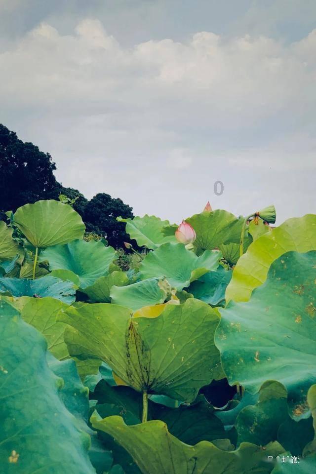 五星公司去年实现产值3.85亿元
