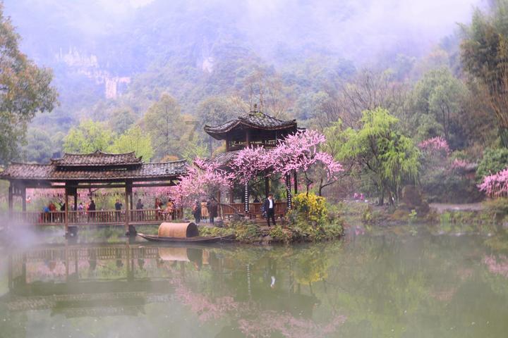怎样做青椒煎蛋，色香味俱全，孩子吃了一直夸呢？