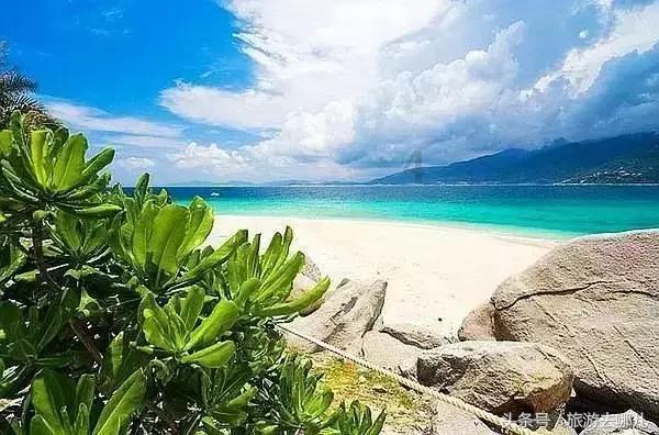 武疯子，流浪汉