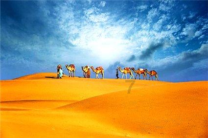 药明生物(02269)澄清：法案草案中对公司首席执行官及执行董事陈智胜有关经历的描述具有误导性