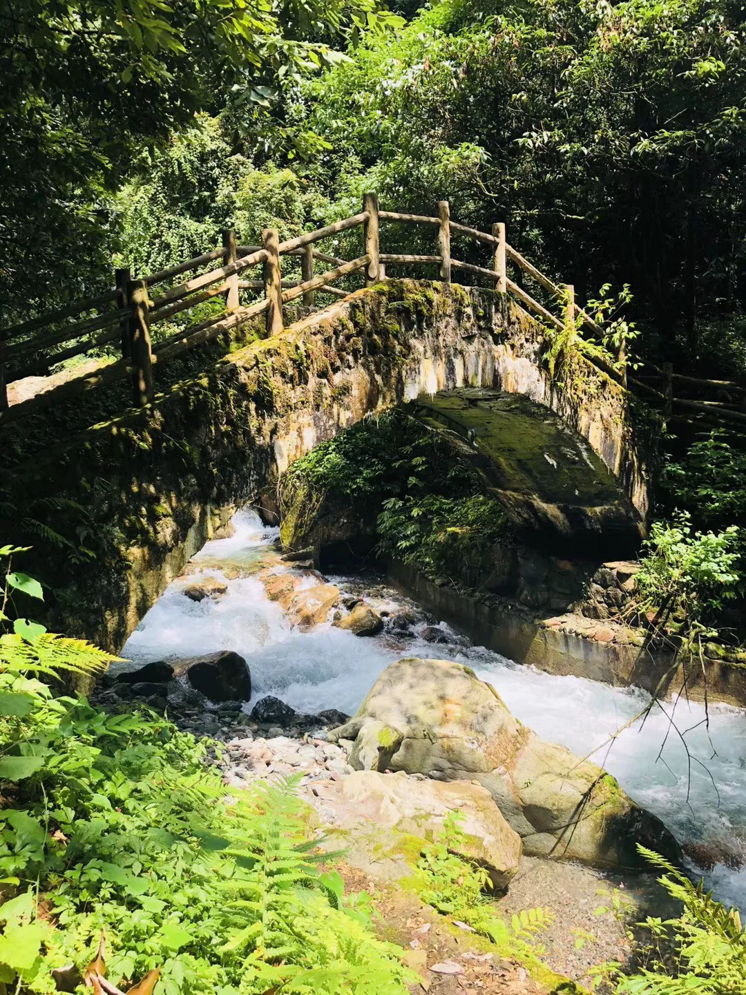 缤纷水果茶无敌版